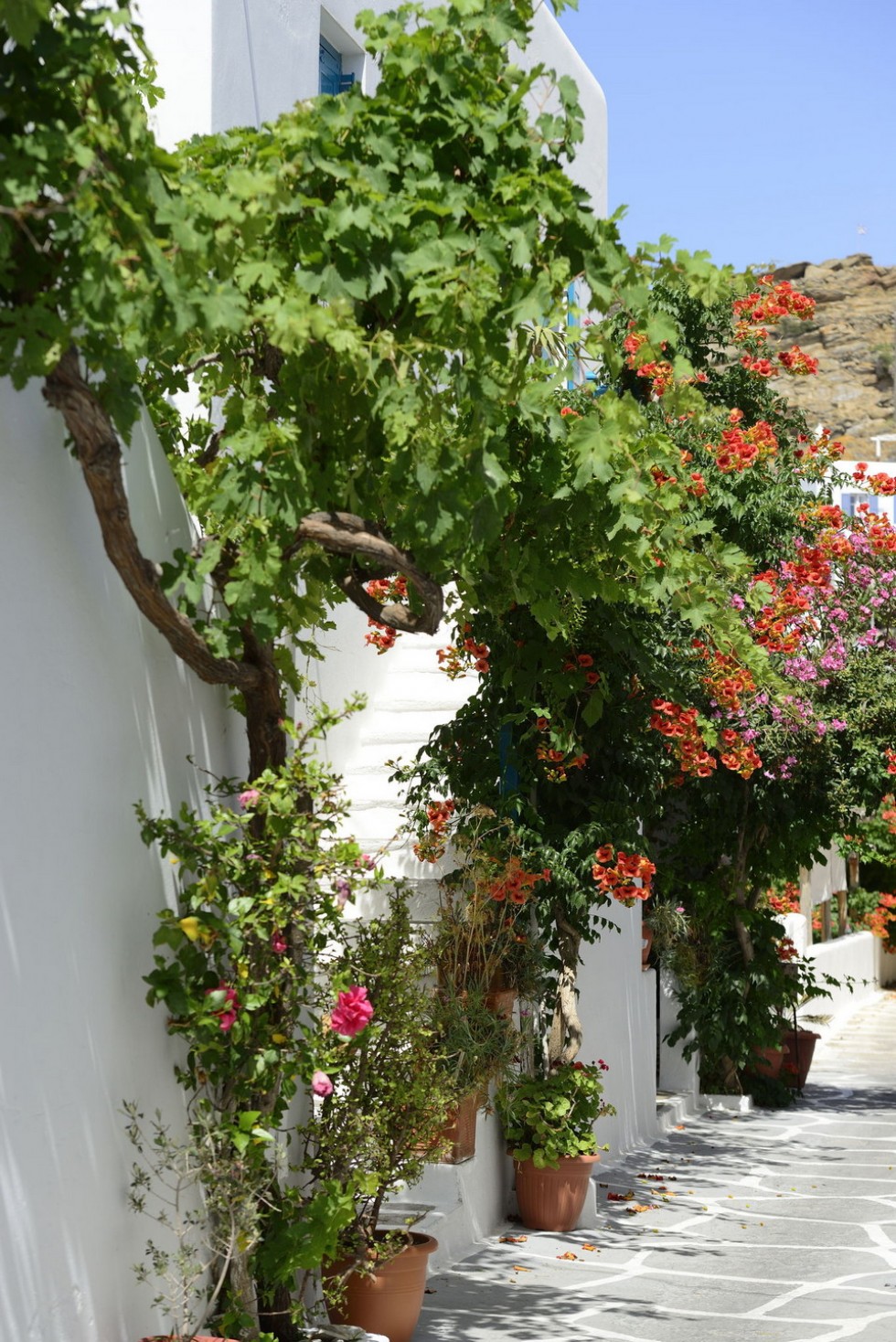 Mykonos Hotel Nazos Mykonos Hotel in Mykonos Town